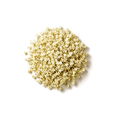 Dry leaf of Elderflower Tea