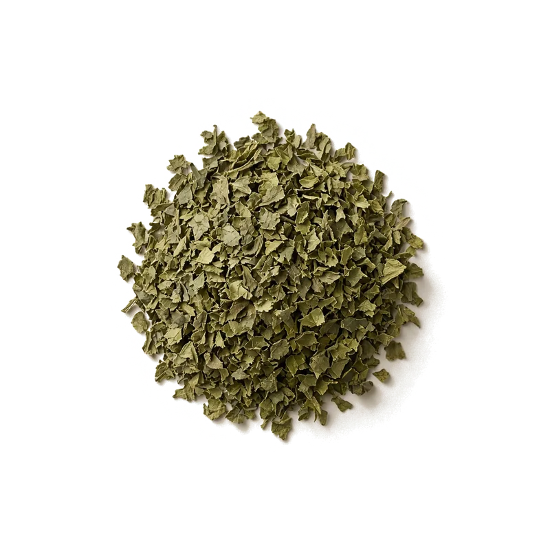 Dry leaf of Guayusa