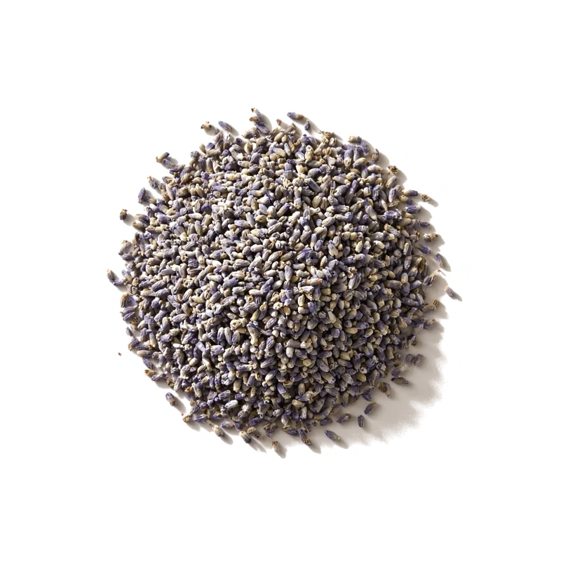 Dried lavender buds, top-down