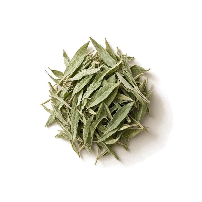 Dry leaf of Lemon Verbena