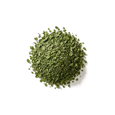 Dry leaf of Moringa Tea