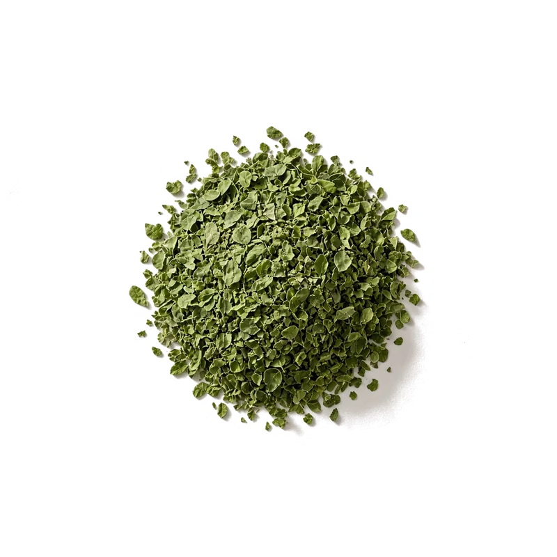 Dried moringa leaves, top-down