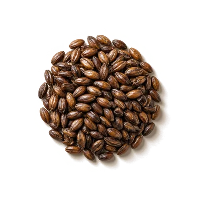 Dry leaf of Mugicha (Barley Tea)