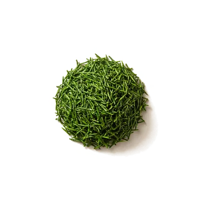 Dry leaf of Shincha