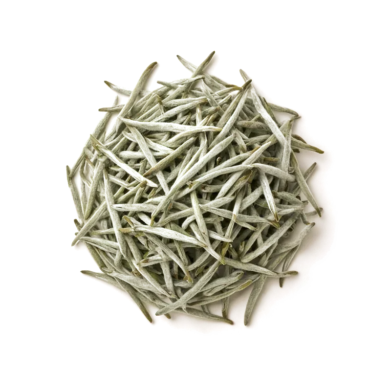Dry leaf of Silver Needle, top-down