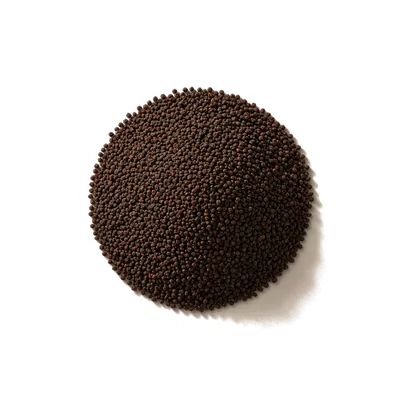 Dry leaf of Uganda Black